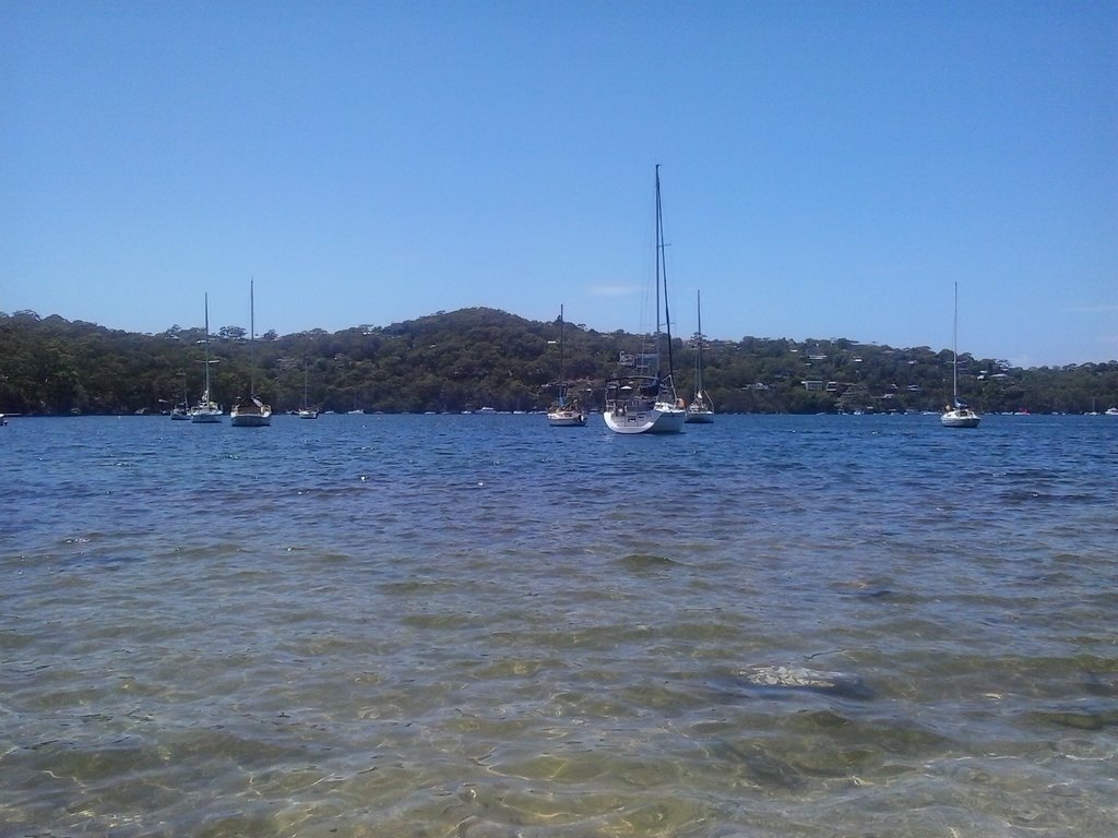 Middle Harbour Creek