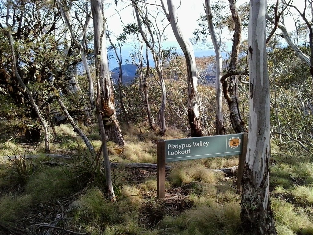 Platypus Valley Lookout