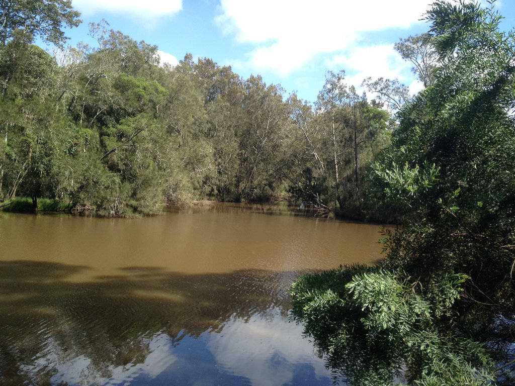 The Wyong River