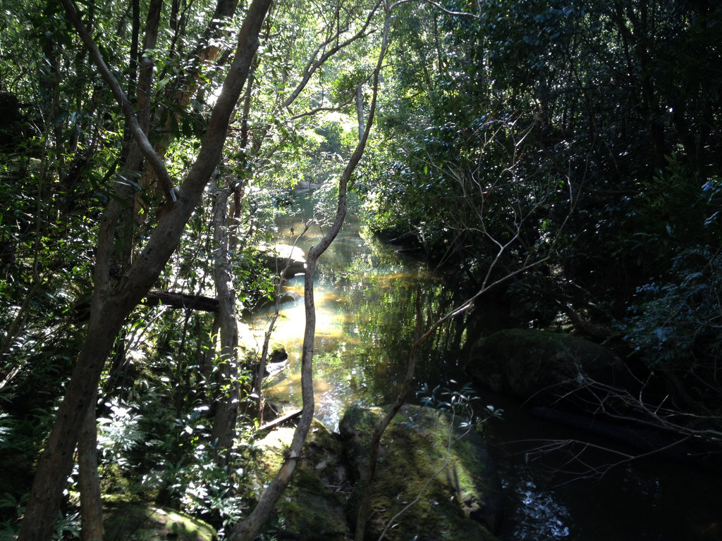 Gibberagong Creek