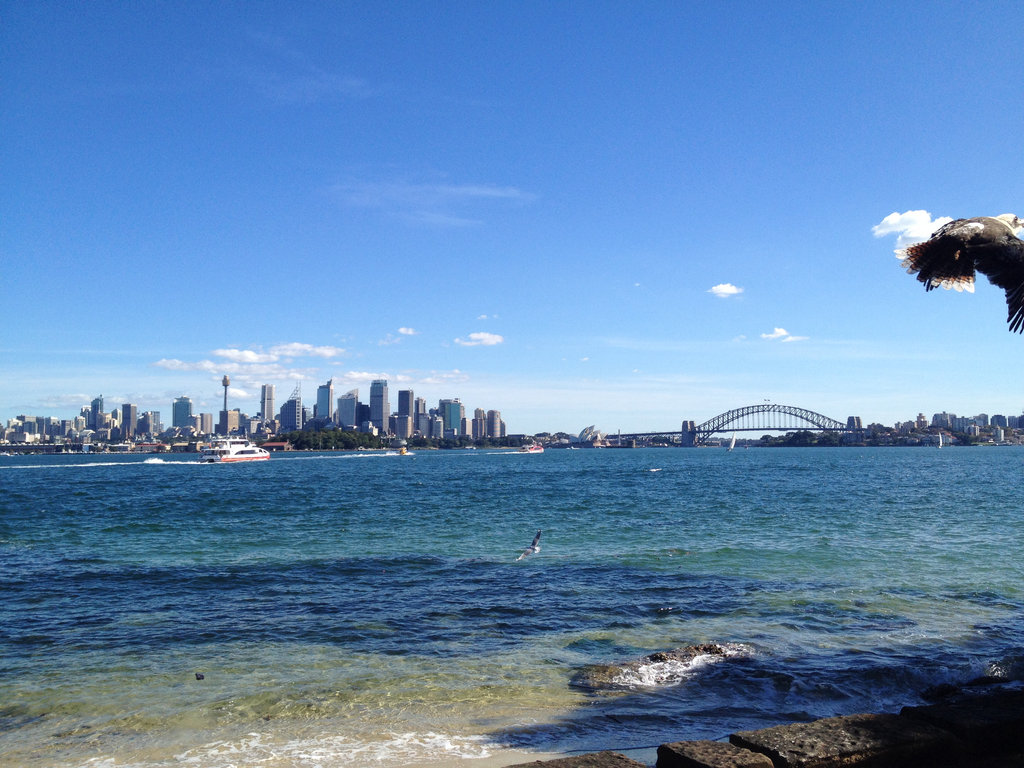 The perfect Sydney City view