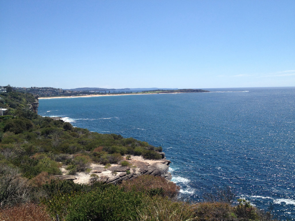 View from Tea Tree Lookout.