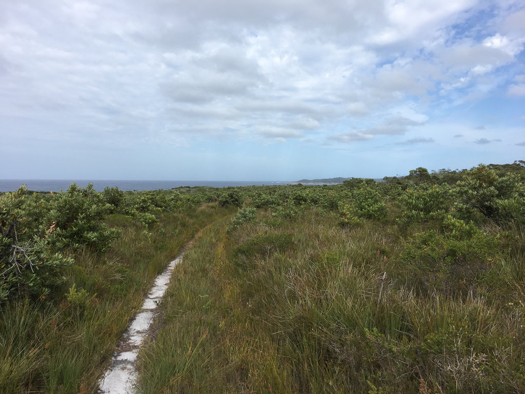 The long and winding trail