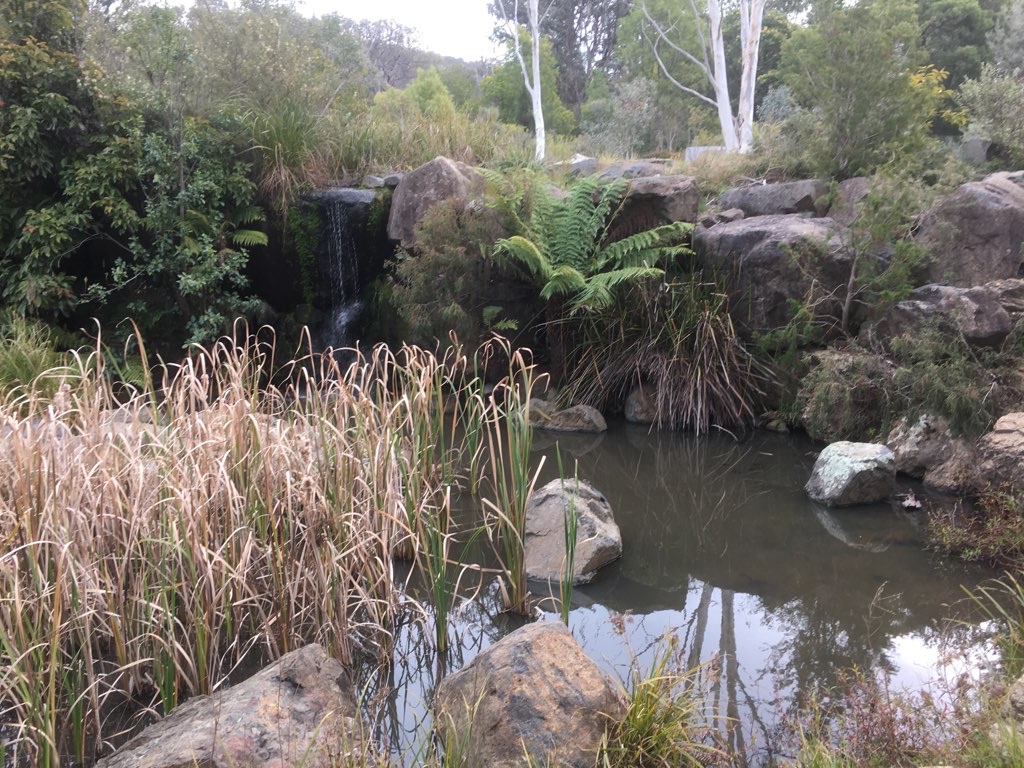 Canberra Botanic Gardens