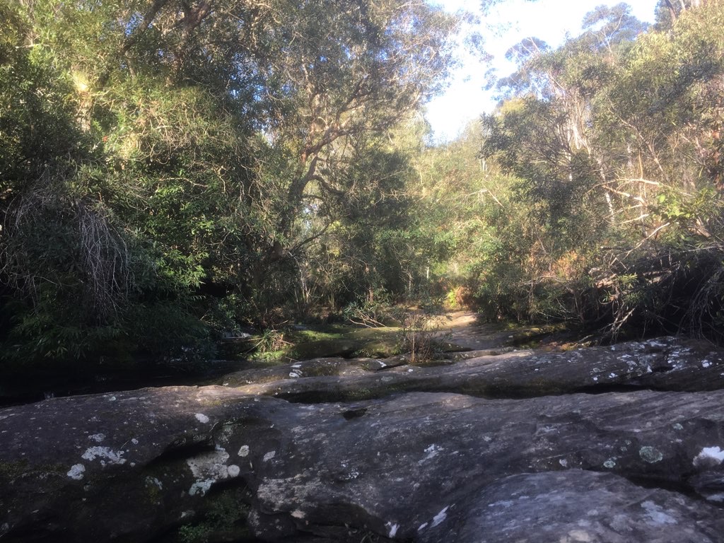 Carrol Creek Loop