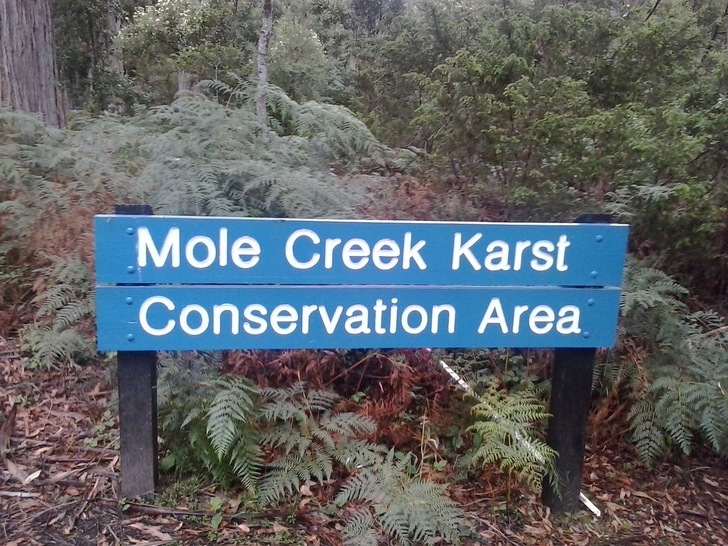 Mole Creek Karst National Park