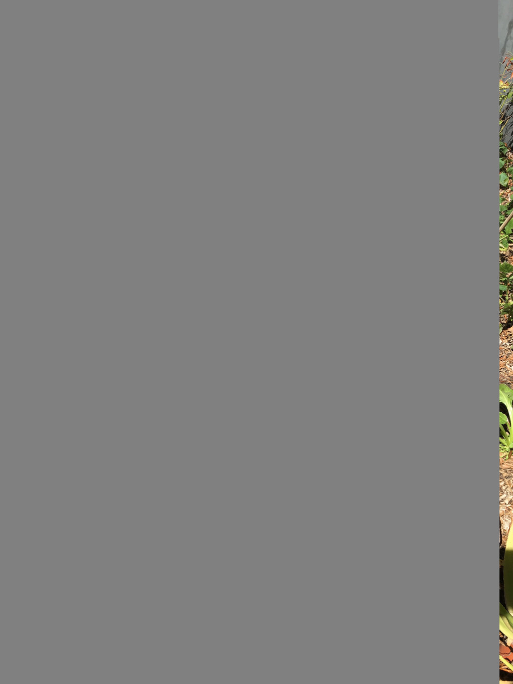 Tour Named: 18 Mar 2018 at 12:15 pm